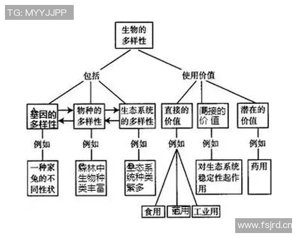 NBA季后赛球队轮换策略与效果的系统性研究与实证分析