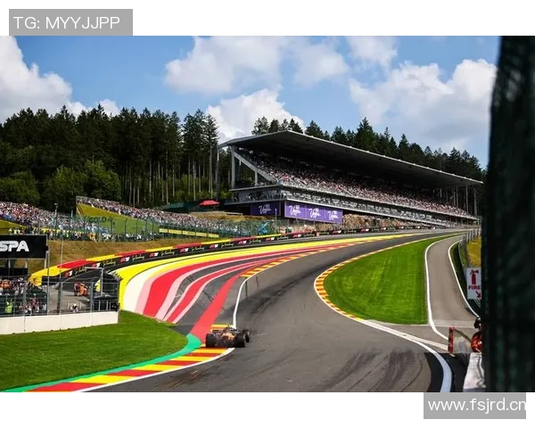 F1赛车技术改进与比赛战略调整案例